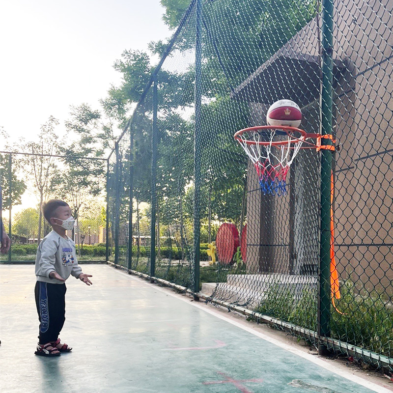 Punch-ฟรีบาสเกตบอล Hoop มาตรฐา - Basketball Hoop บทวิจารณ์และราคา